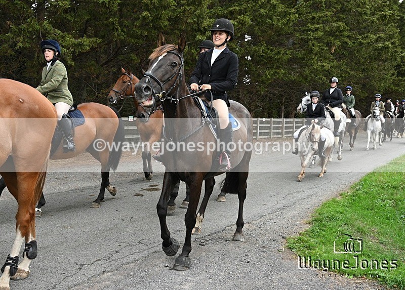 WJ7_1297 - Berks & Bucks Hound Exercise Blewbury 13-09-26