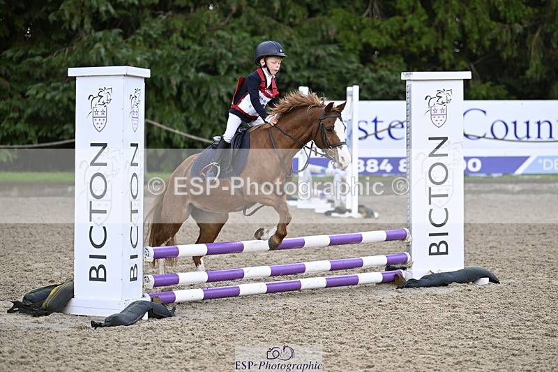 251005A-090747-02950 - Cls 02 GR 50cm