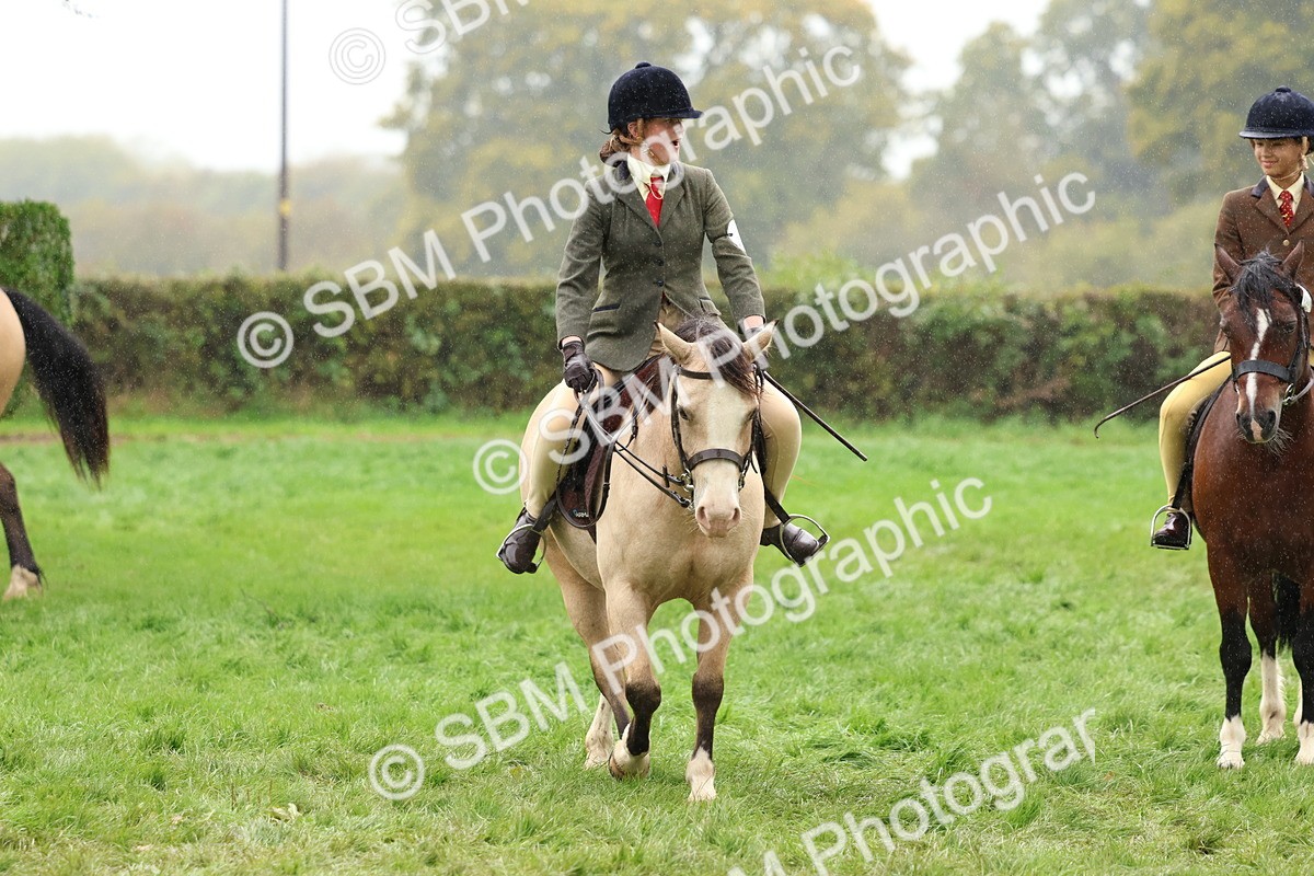 SBM_69726 - S62 - Mountain & Moorland Ridden Large Breeds