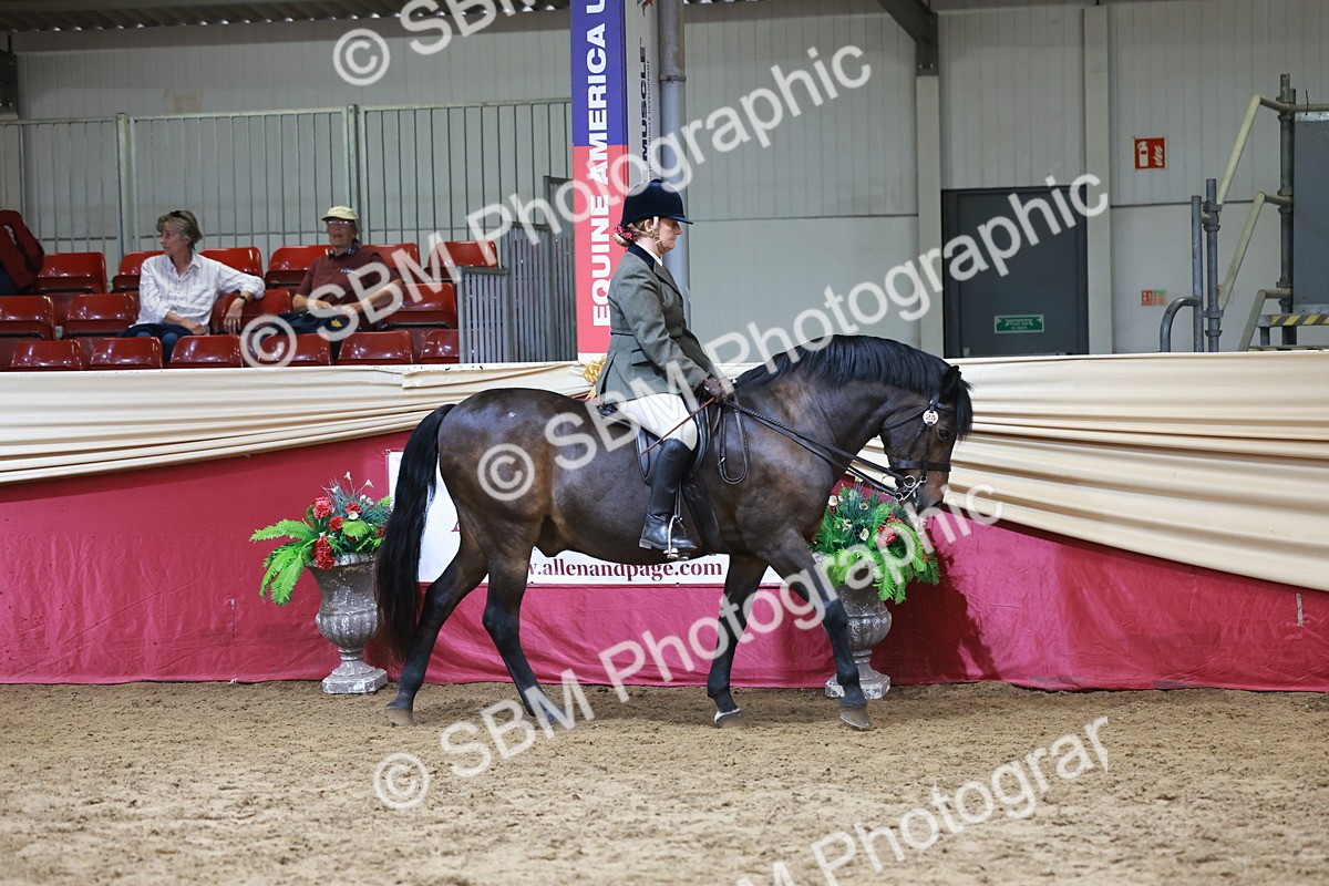 SBM_18699_Class 952 - MM Ridden Supreme Final - Julie Moxon