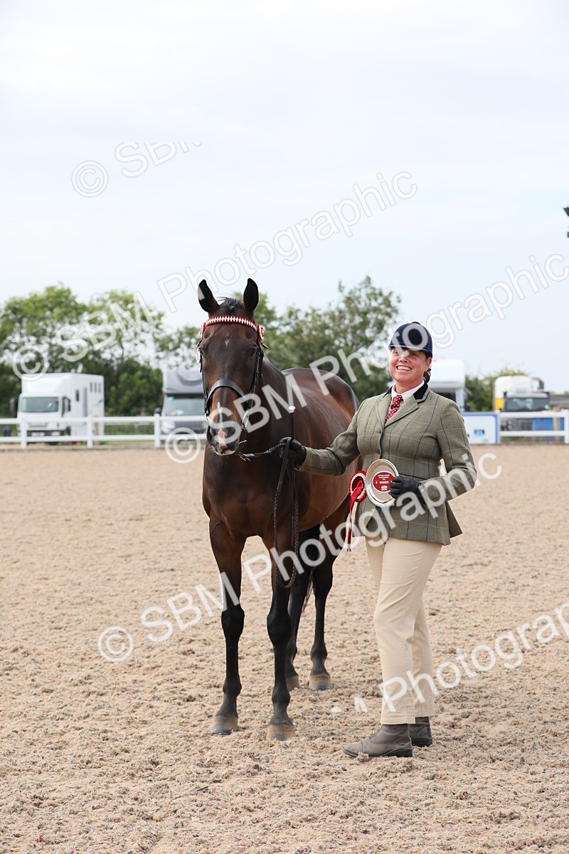 SBM_15965 - Class 313 IH Retired Racehorse