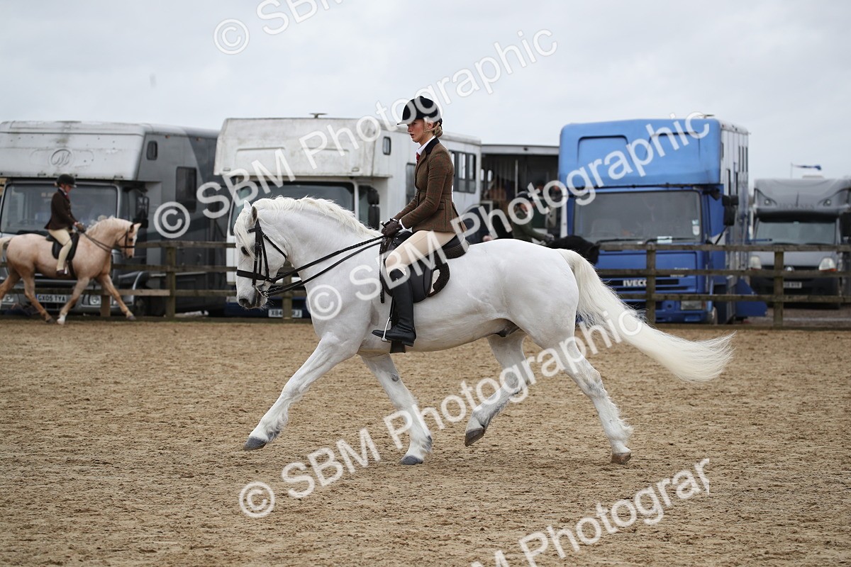SBM_006372 - Class 10-13 - RIHS Small Large Breeds