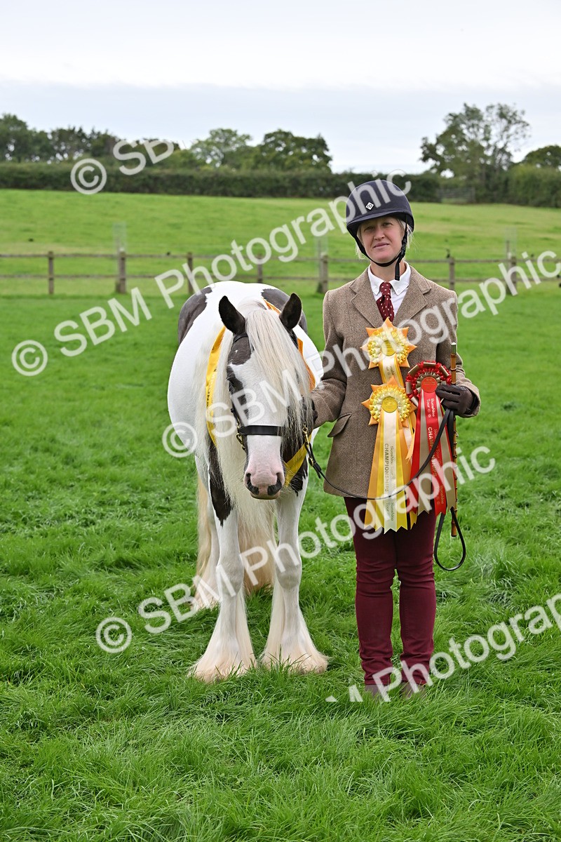 SBM_65060 - In Hand Pony & Younstock Supreme Championship