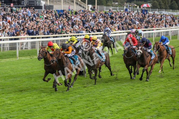 230923-Race 4-Aphelios-5322 - Race 4 3.45pm Jigsaw Sports Branding Handicap