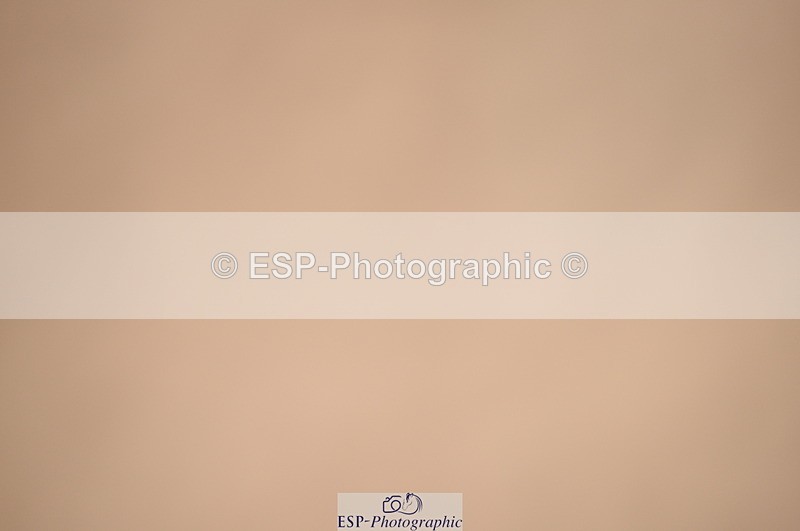 230813A-145000-13431 - Cls 50 Senior Foxhunter