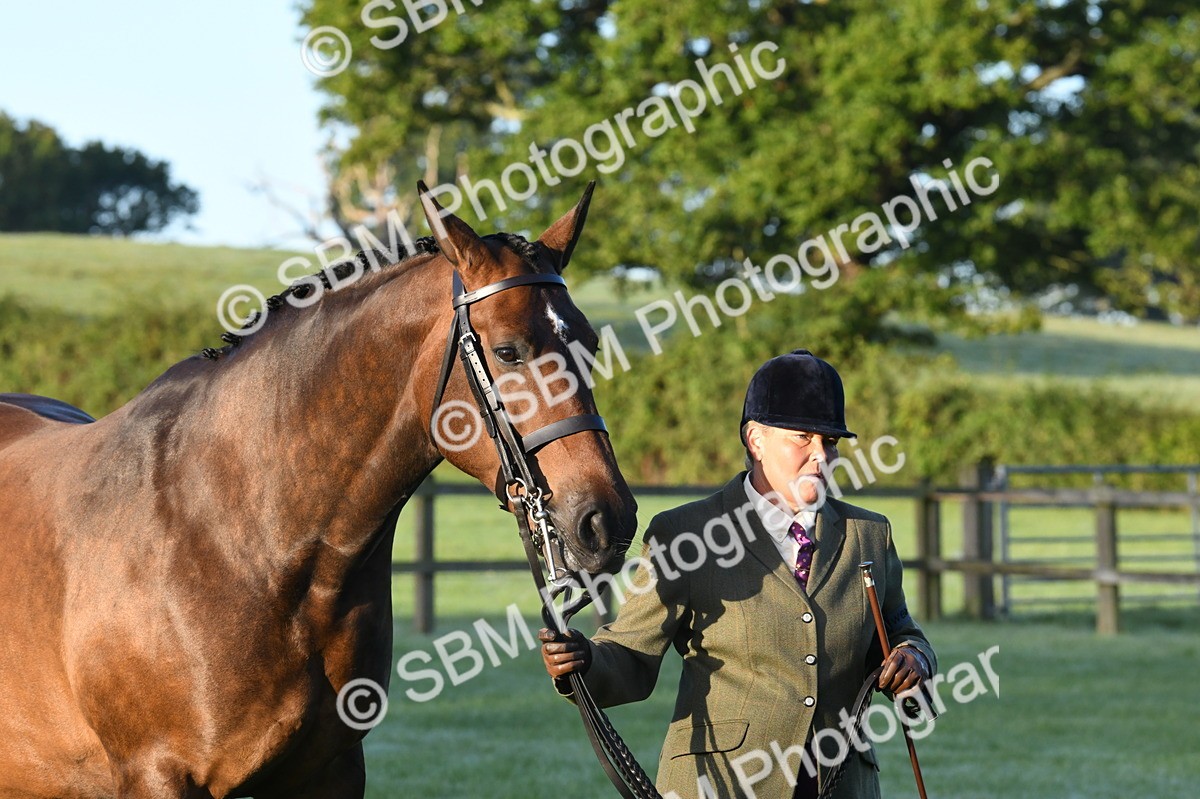 SBM_32480 - S15 - Condition & Turnout In Hand