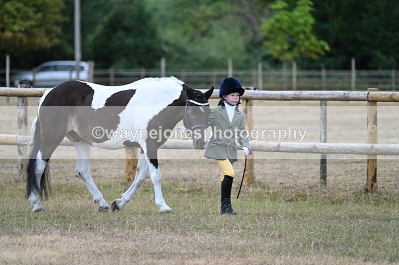 WJ7_9472 - Class 5 Most Handsome Gelding (up to 14.2hh)