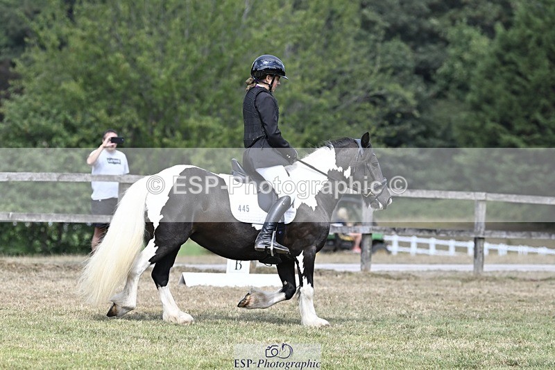 250821A-114249-15300 - DR 11.00 to 12.00