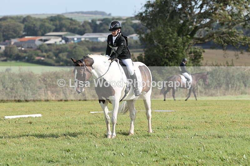 JPP_8142 - Class 2A: Trekenning Open: Dressage
