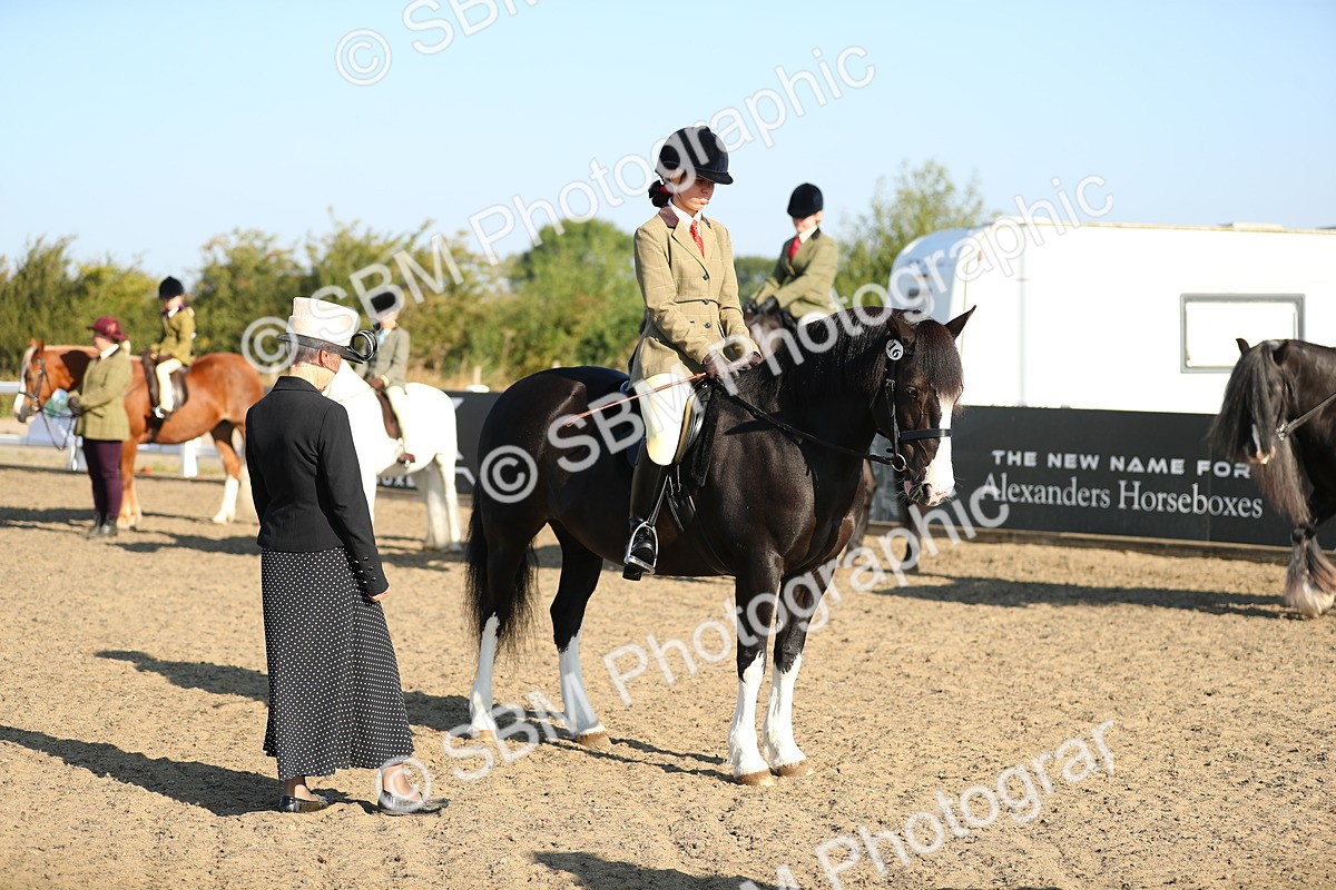 SBM_00426 - Class 41 Best Turned Out Ridden