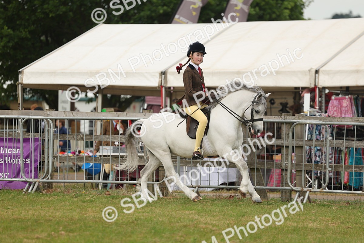 SBM_09115 - Class 78-80 - Ridden M&M Non Welsh Ponies