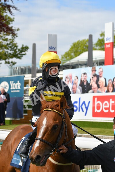 yr12052021r6-31 - Race 6 4.15pm British Stallion Studs EBF Novice Stakes