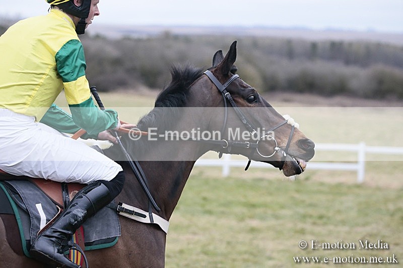 PtP 180218 489 - Combined Services Point-to-Point Larkhill 18/02/18