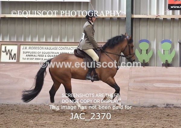 JAC_2370 - CLASS 3 Intermediate Working Hunter