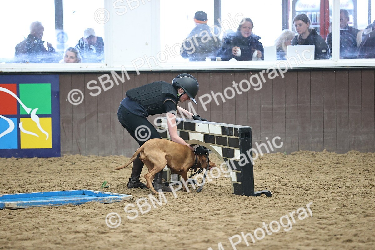 SBM_001293 - Class 3 - Horse & Hound 60cm
