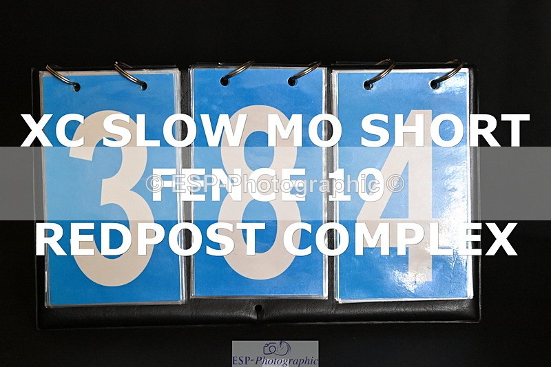 ESP_384 - E-384-Holly.Horton