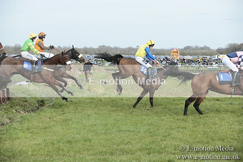 PtP 230319 300 - VWH Hunt Siddington Point-to-Point Racing 23/03/19
