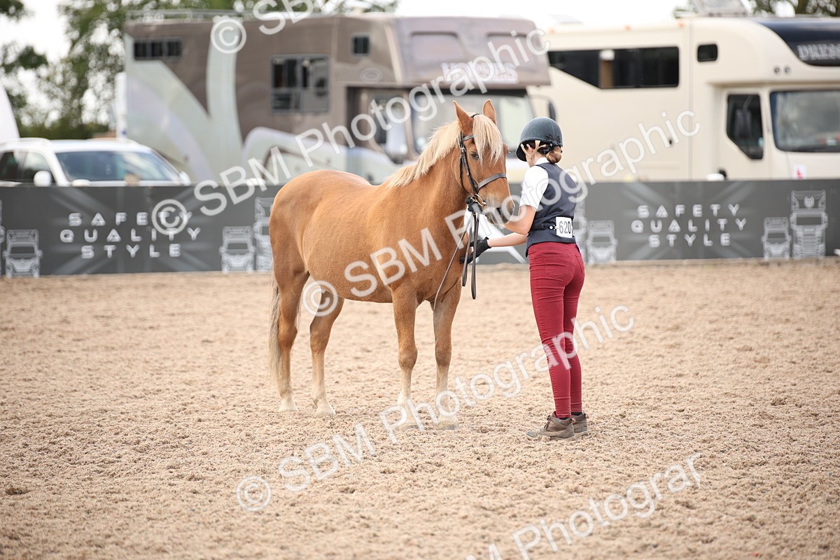 SBM_08240 - Class 27 - IH Competition Horse-Pony