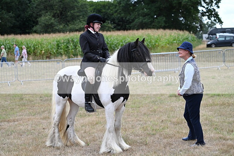 WJ7_4501 - Class 11 Family Mount