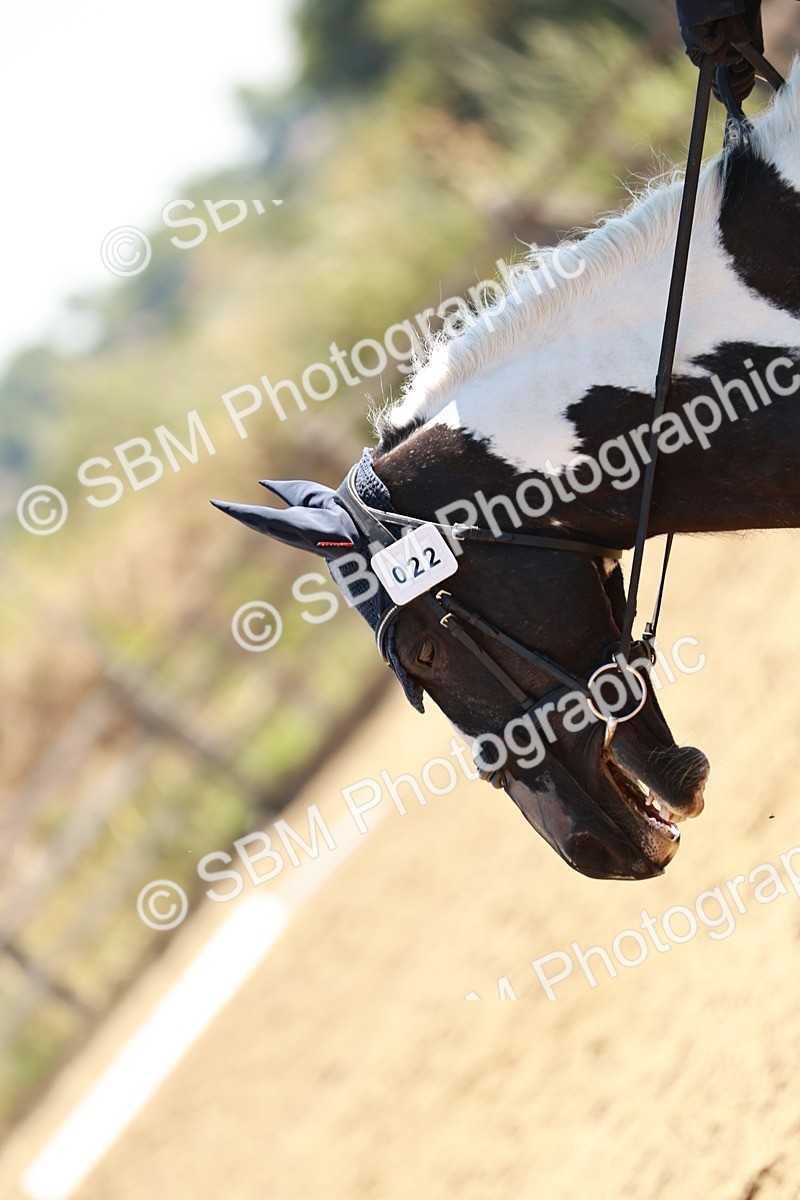 SBM_000815 - Class 12 - DR P1