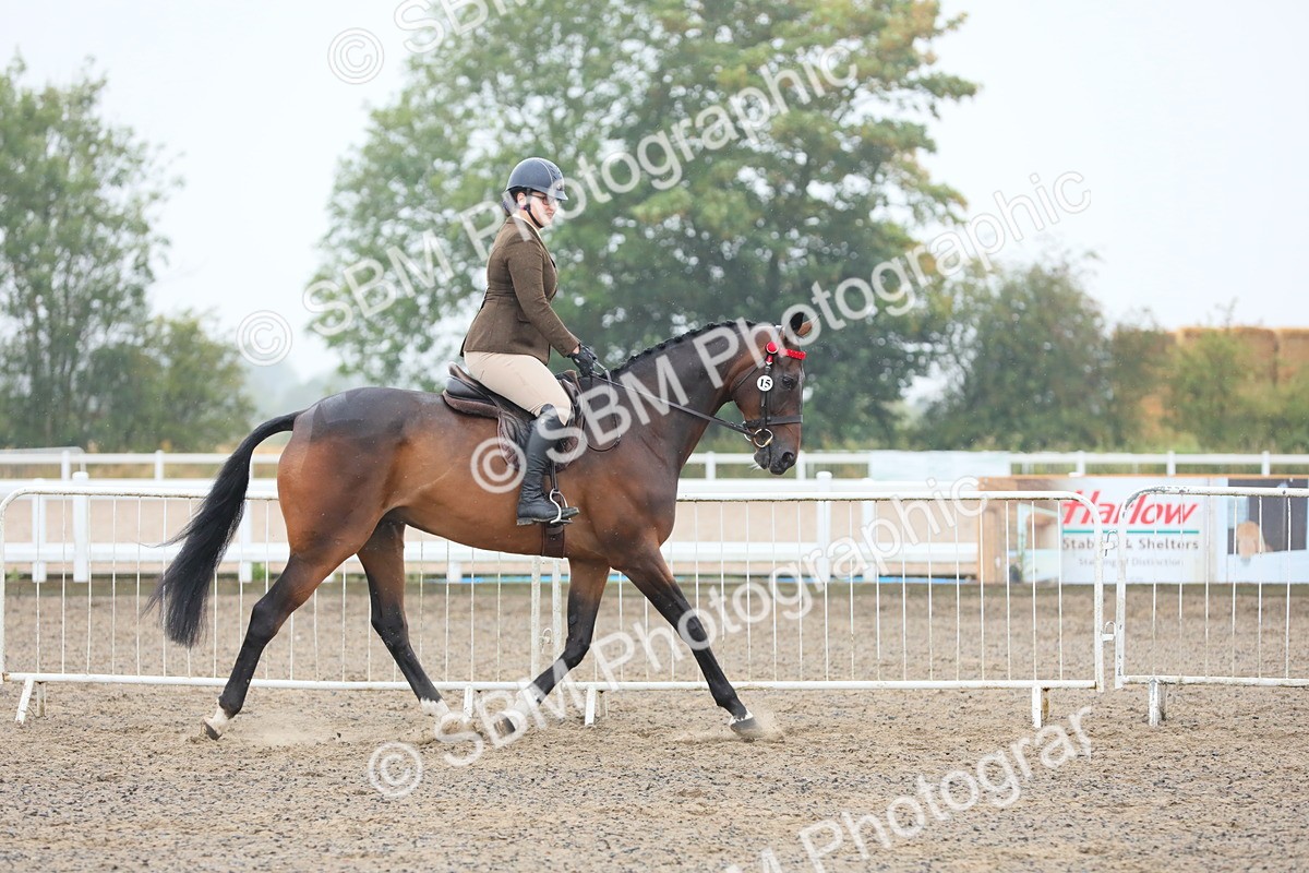 SBM_20009 - Class 802 - Ridden Groom - Helpers class