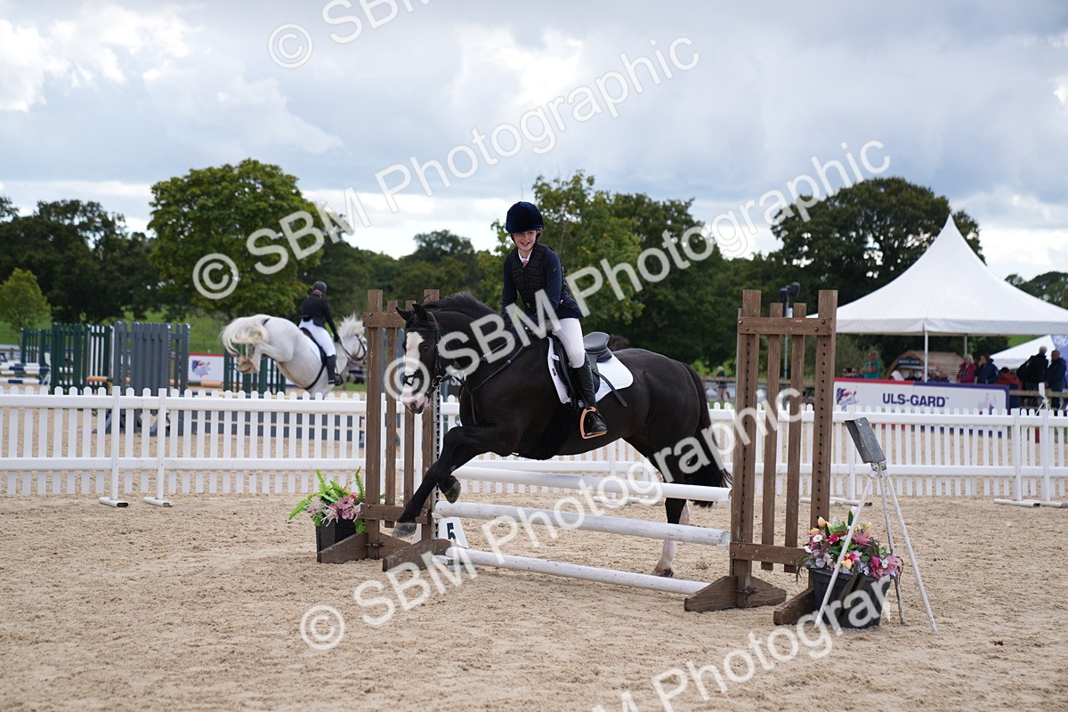 SBM_08482 - J56 Clear Round 70cm