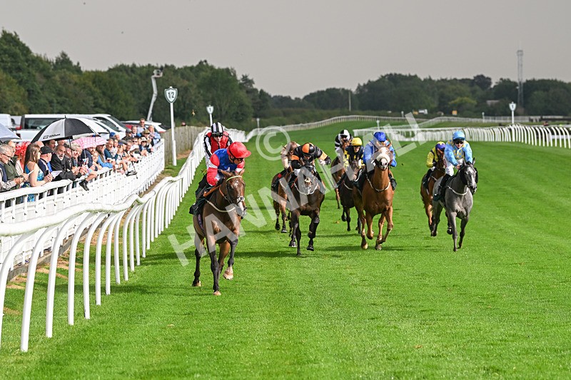 280824-Race 4-Desert Dream-4378 - Race 4