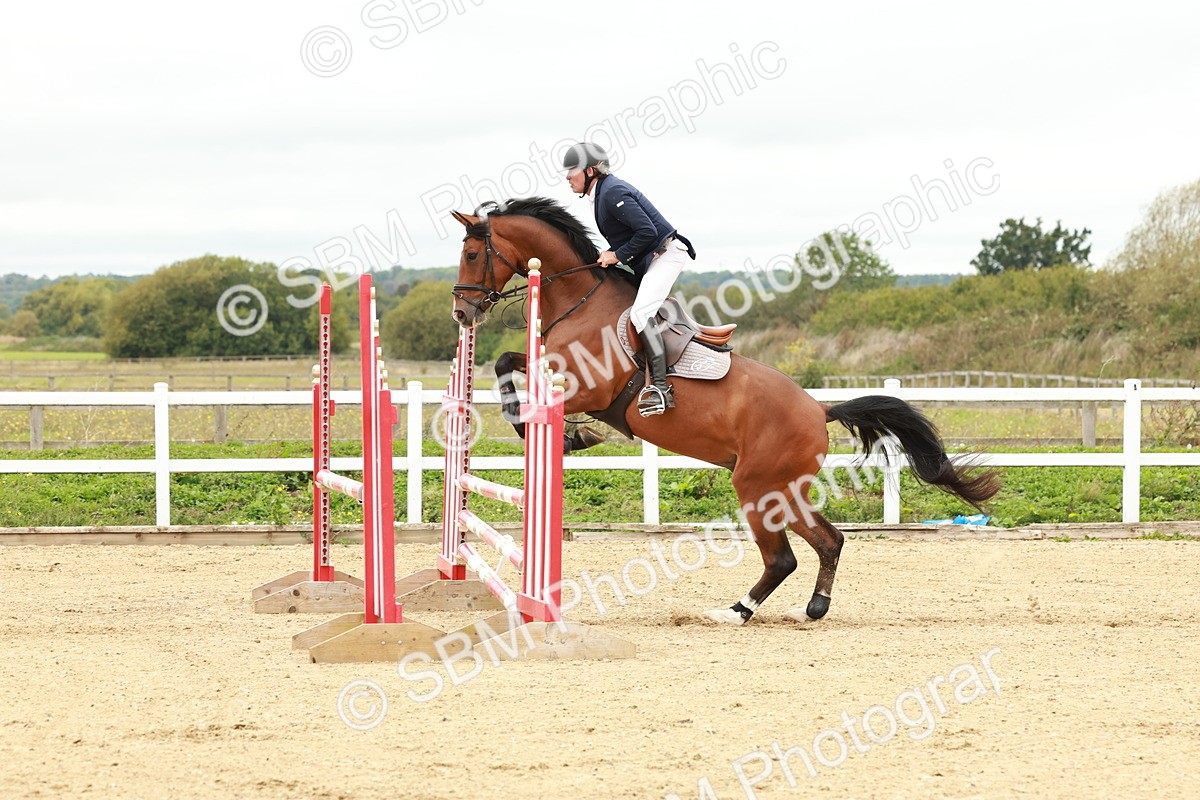 1I0A6981 - Class 2 - Senior British Novice