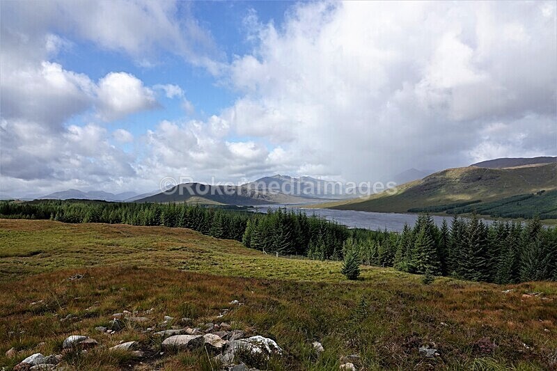 DSC07925 - SEPT 2020 STAYCATION