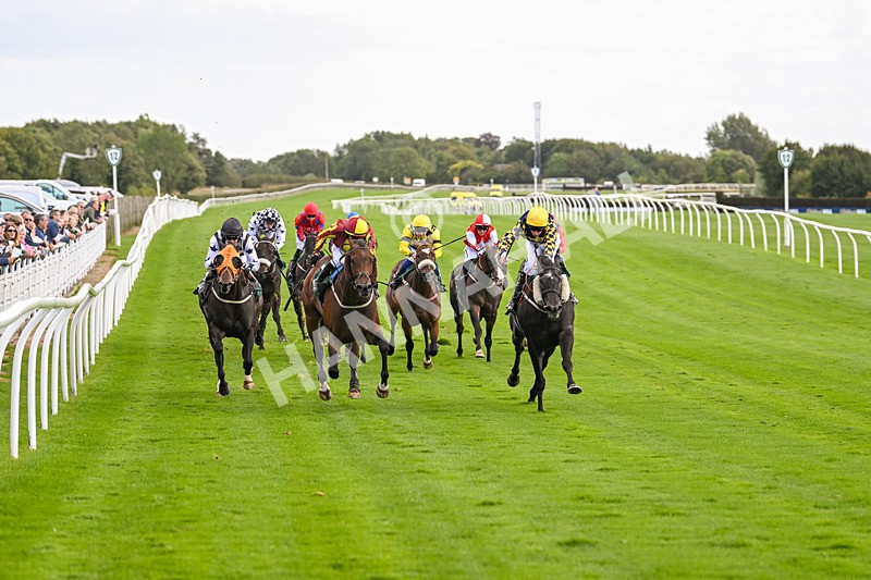 100924-Race 2-Keldeo-9999 - Race 2