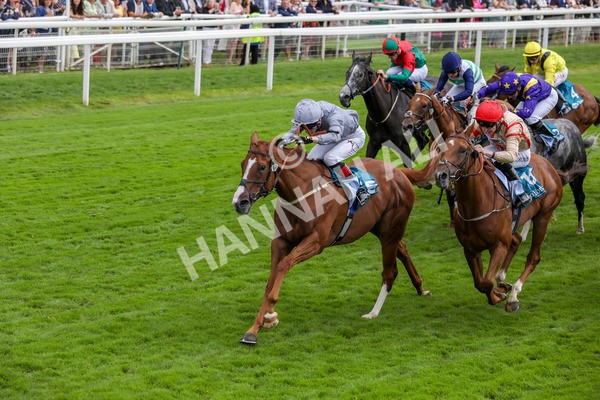 220824-Race 3-Thunder Run-7656 - Race 3 3.00pm Clipper Handicap