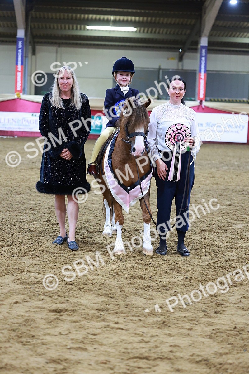 SBM_14675 - Class I - Ridden Pony Champ