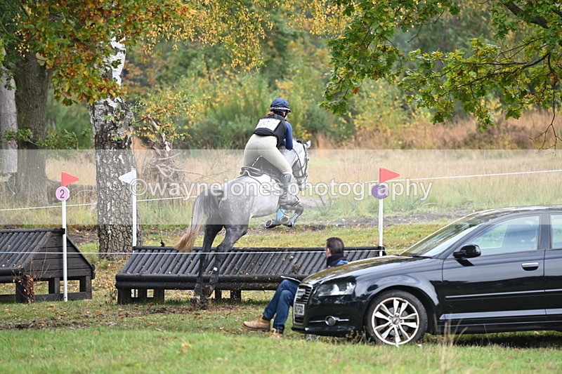 WJ6_1714 - 80cm Cam 1 Time 10:08 to 10:45