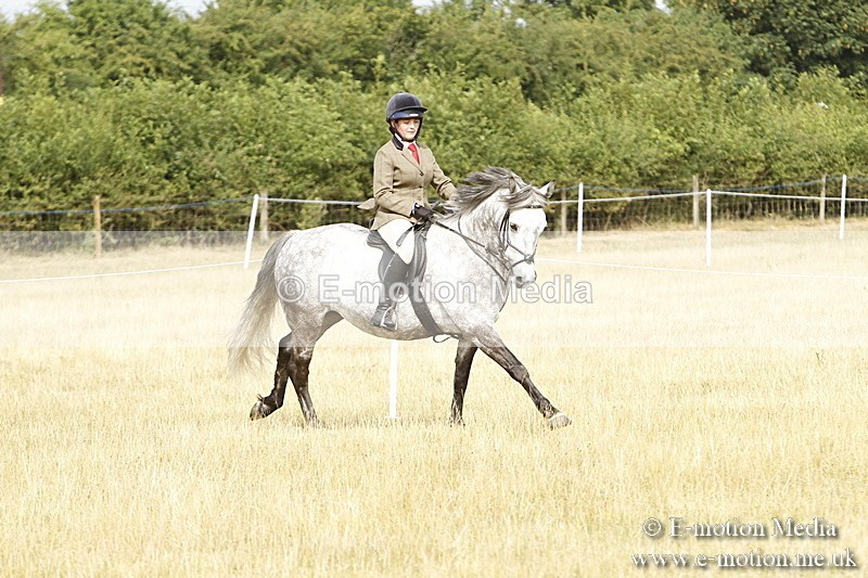 _BS_0572 - BVRC Show 2018 Ring 3