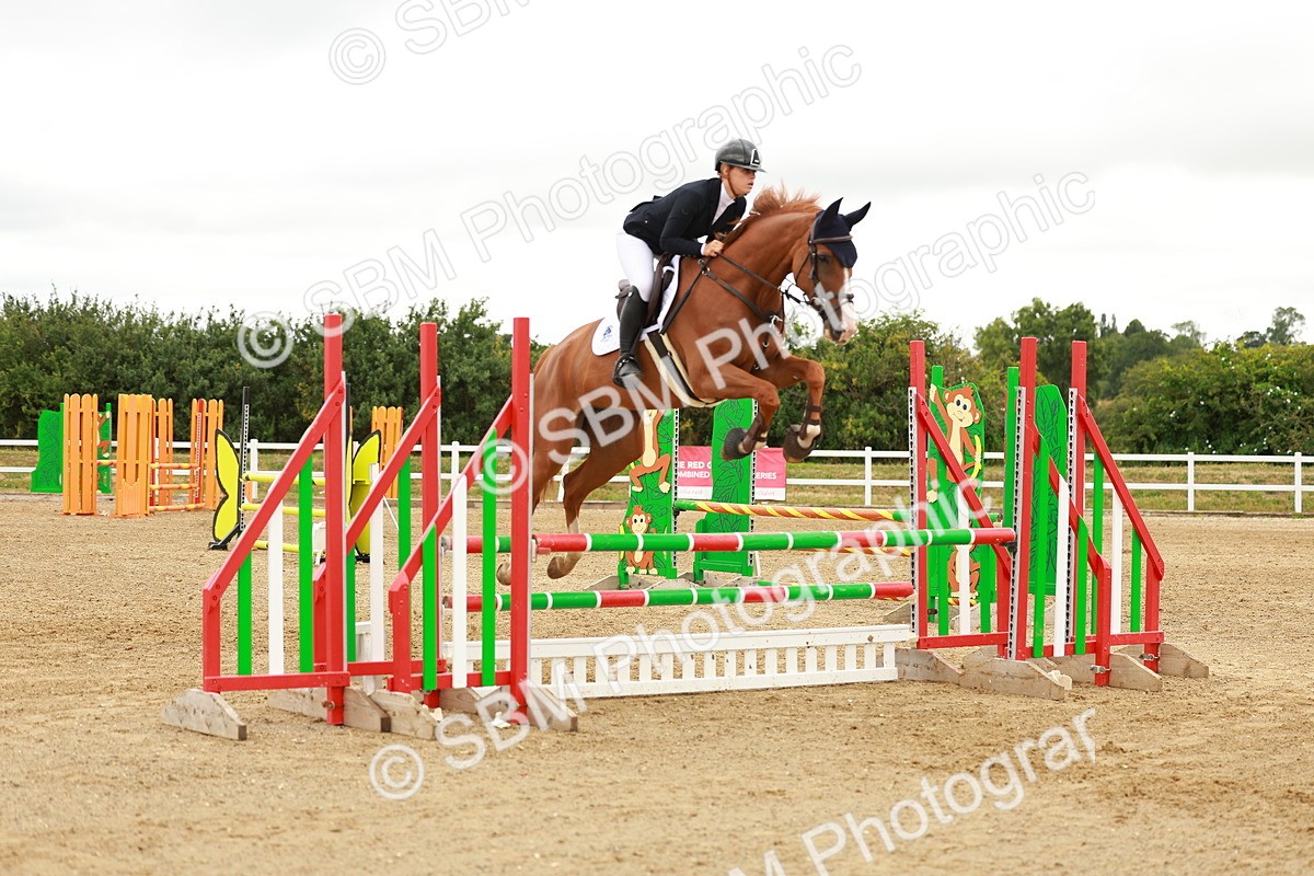 SBM_001640 - Class 9 - Senior British Novice - 90cm