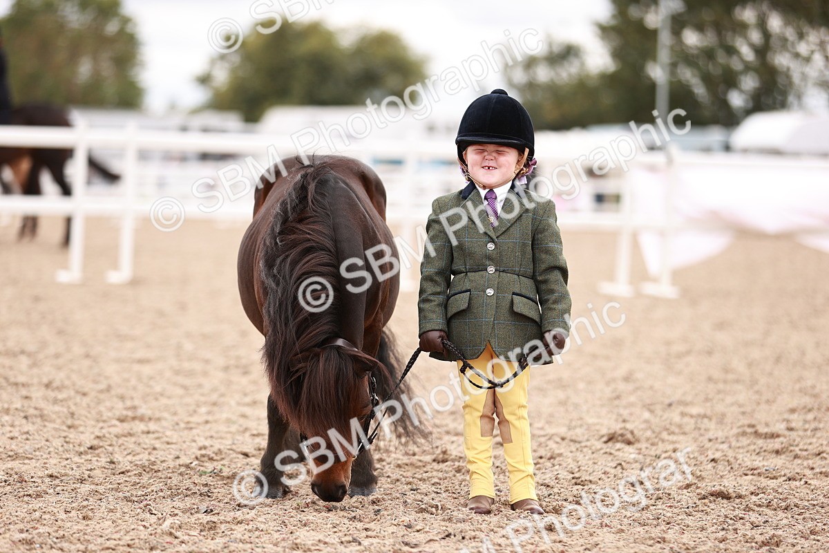 SBM_18574 - Class 421 - Childs Best Friend - Jnr