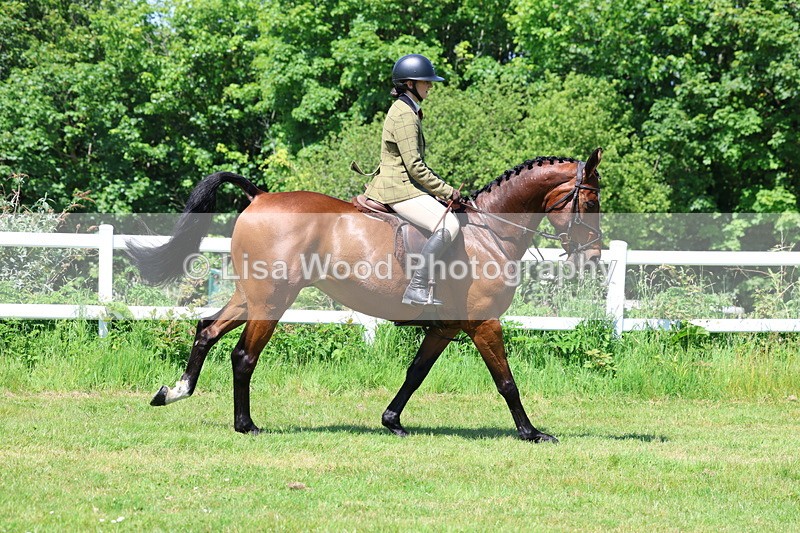 3E7A7194 - Class 30: Novice Working Hunter