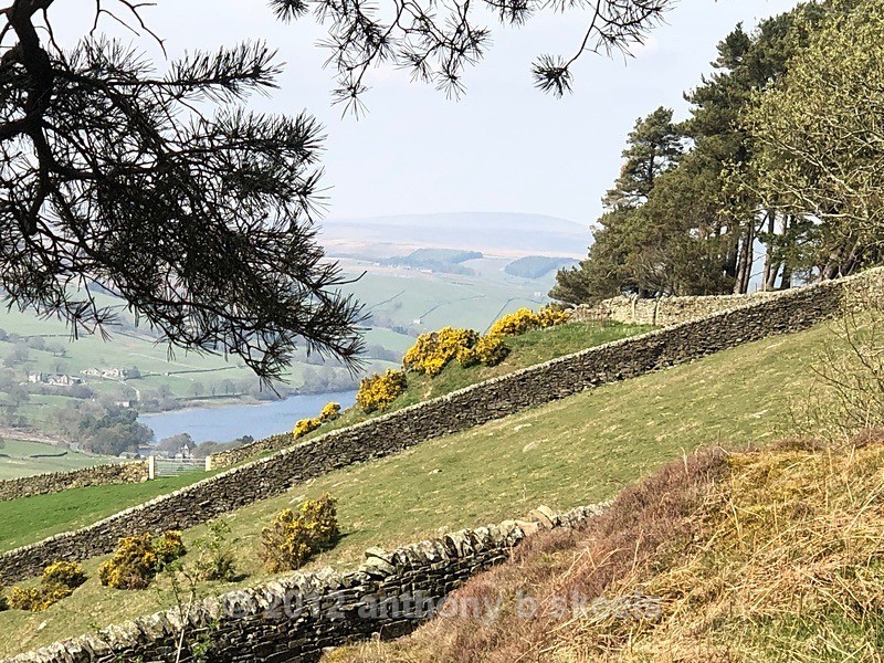 039 The top of the ridge achieved - York Minster Walkers Collection 2025