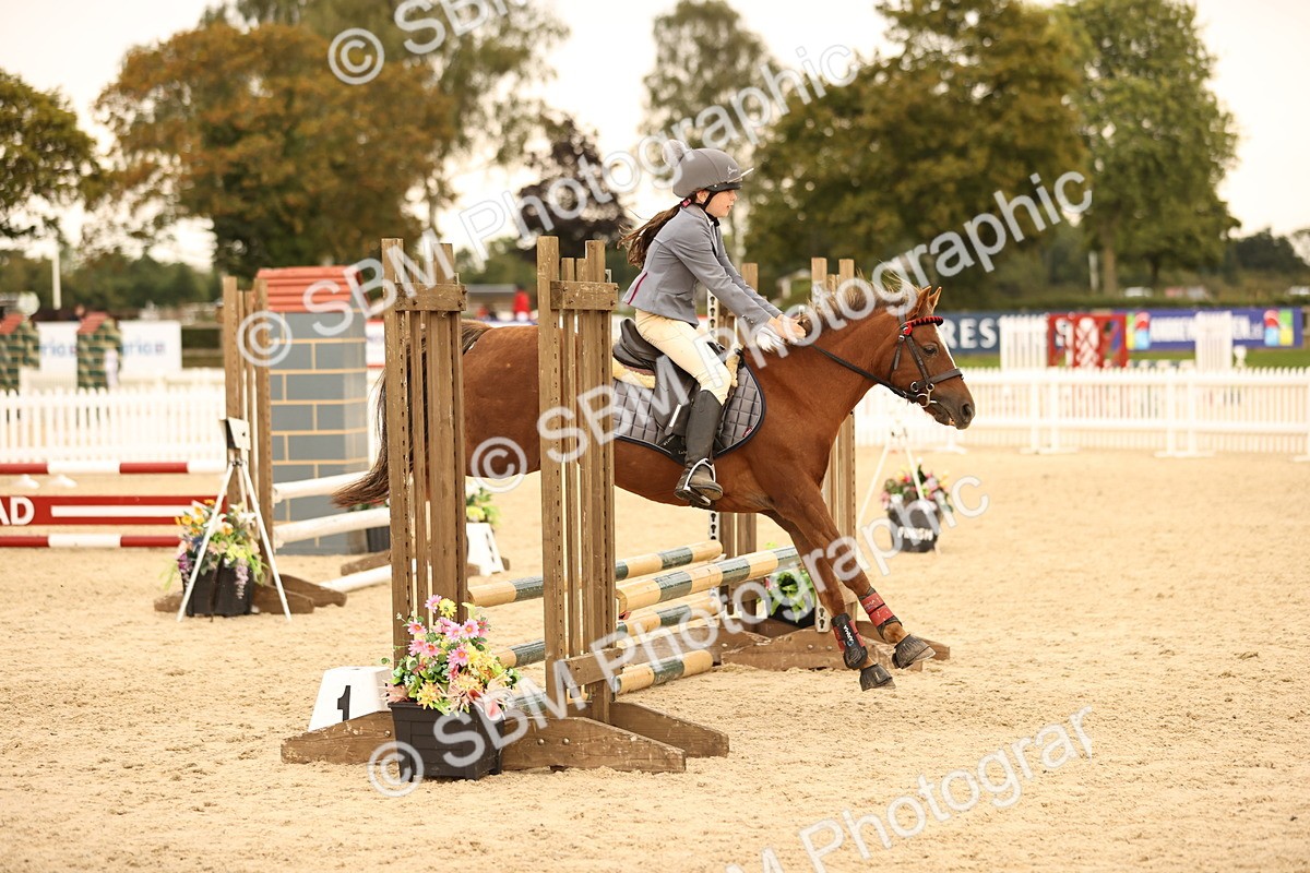 SBM_74279 - J14 - Junior Pony 65cm Championship