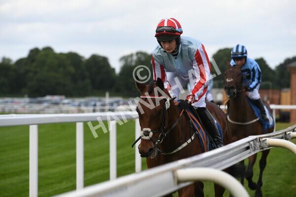 yr11062022r2-15 - Race 2 2.00pm Queen Mother's Cup