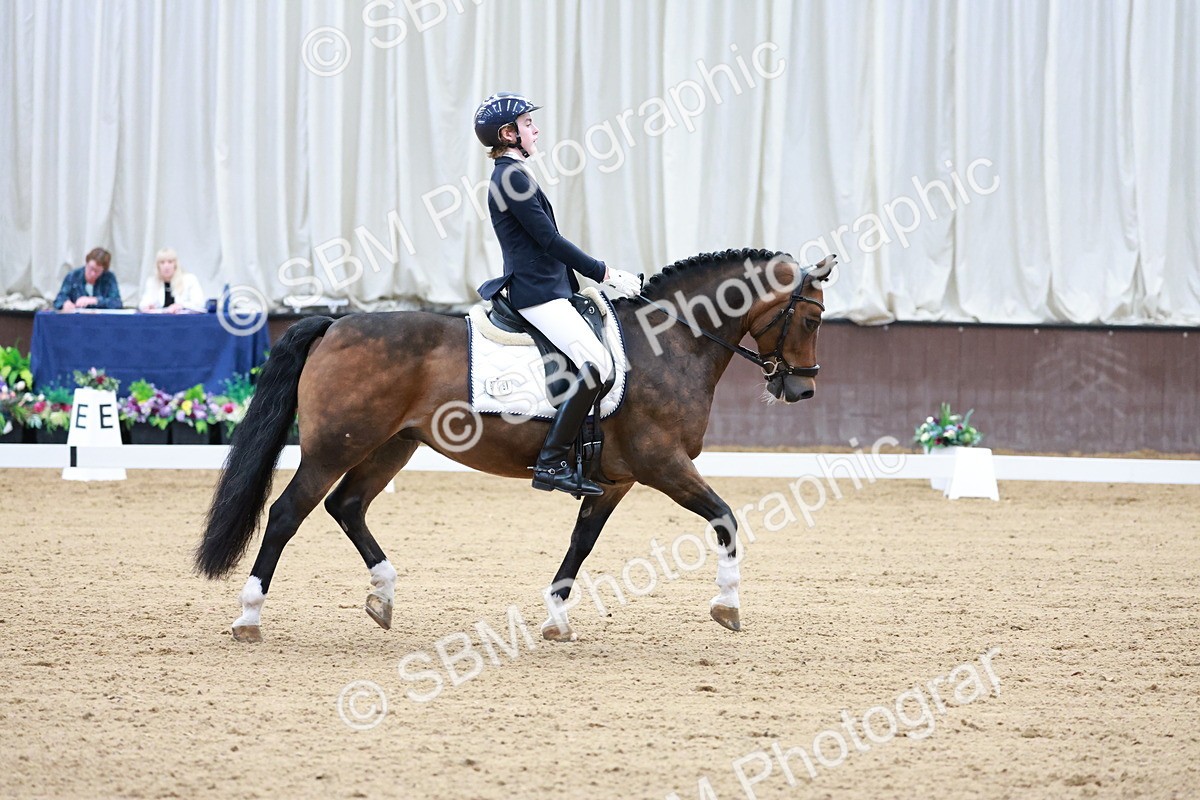 SBM_017131 - Class15 - FEI Pony