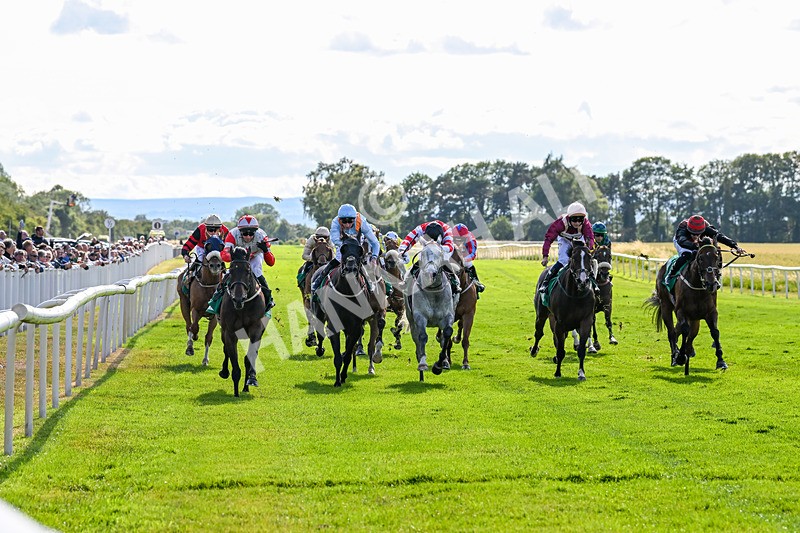 020725-Race 7-Manila Scouse-3222
