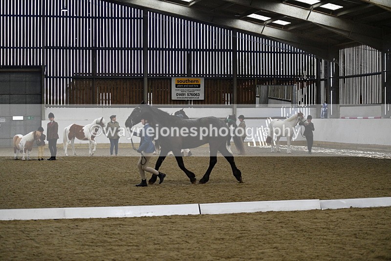 WJ5_4830 - Class 7 In hand coloured / odd coloured