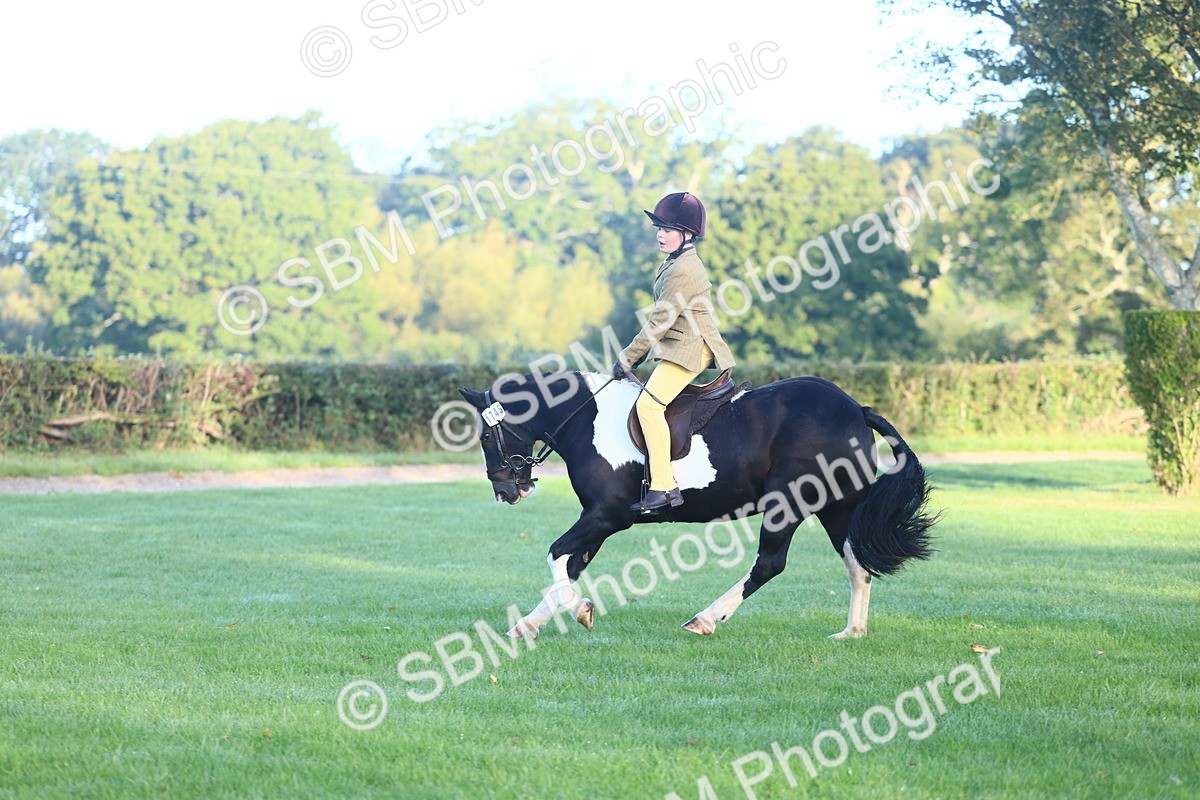 SBM_31778 - S28 - Nursery Stakes Working Hunter Pony
