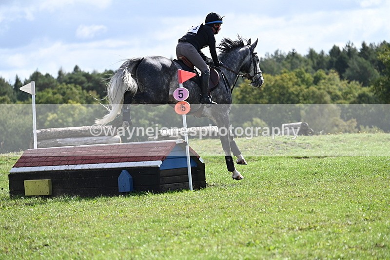 WJ7_0678 - Time 11:36 to 12:00