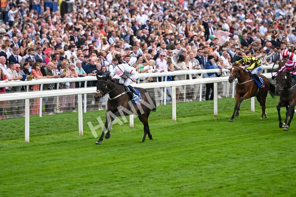 230825-Race 4-Ethical Diamond-0570 - Race 4 3.35pm Sky Bet Ebor Handicap
