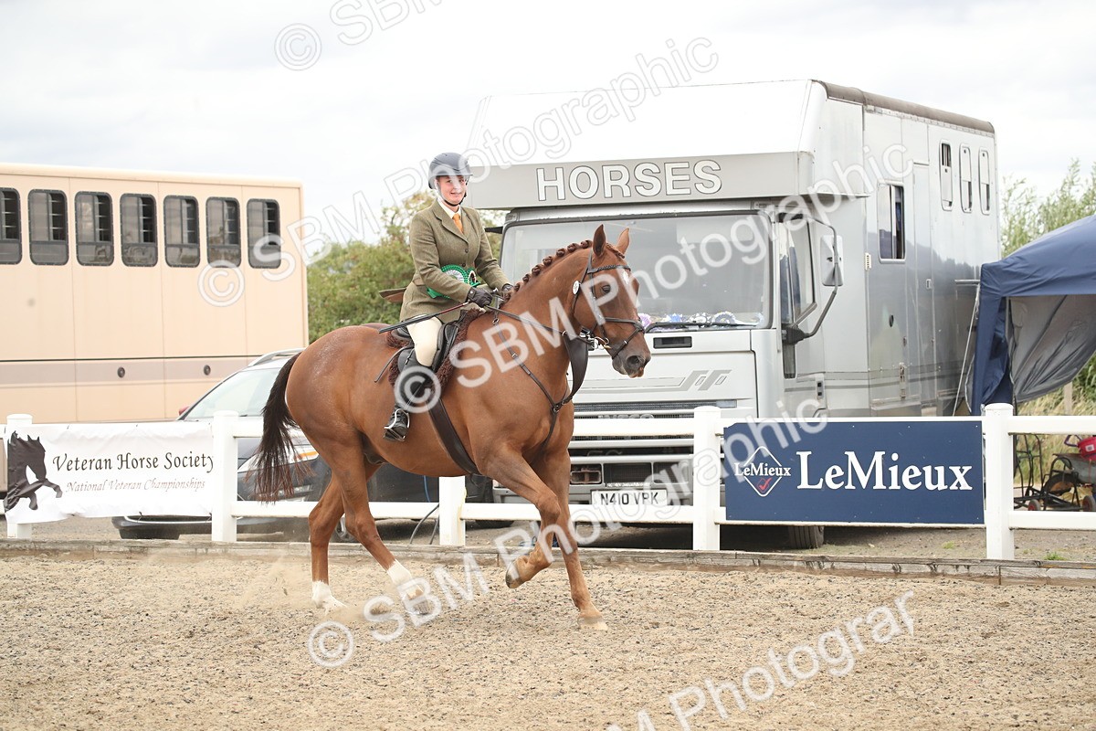SBM_18347 - Class 509a - Working Veteran - 80cm (15-19)