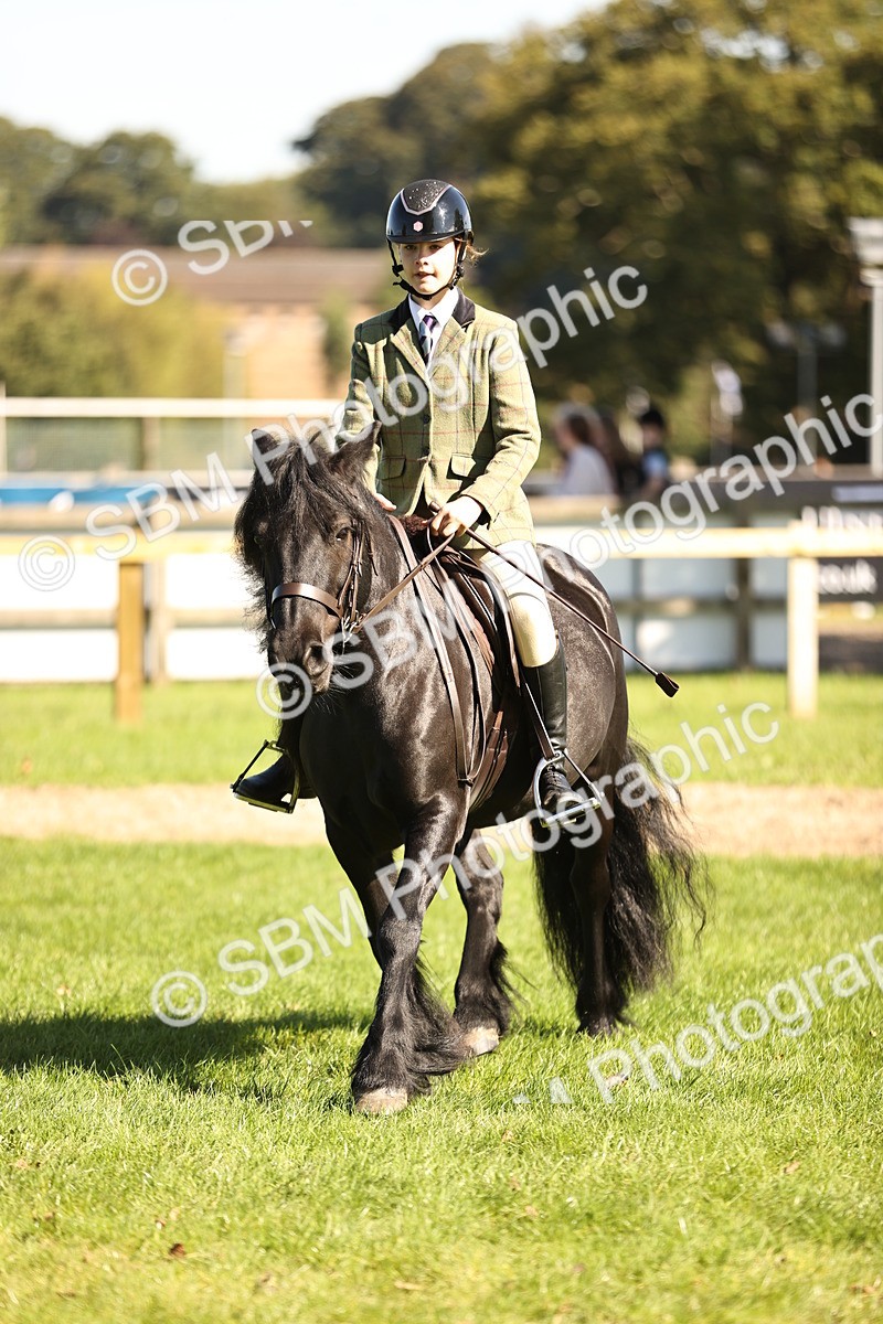 SBM_19139 - S3 - TSR Ridden Pony Showing