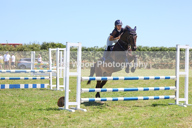 3E7A5679 - Class 9: Senior British Novice/90cm open