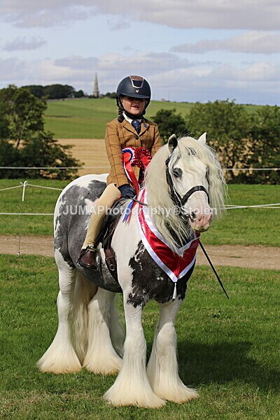 SIAL7175 - championships